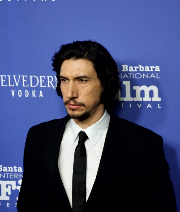 Adam Driver appeared in Marriage Story, The Report, The Dead Dont Die, The Man Who Killed Don Quixote, and Star Wars: The Rise of Skywalker in 2019.