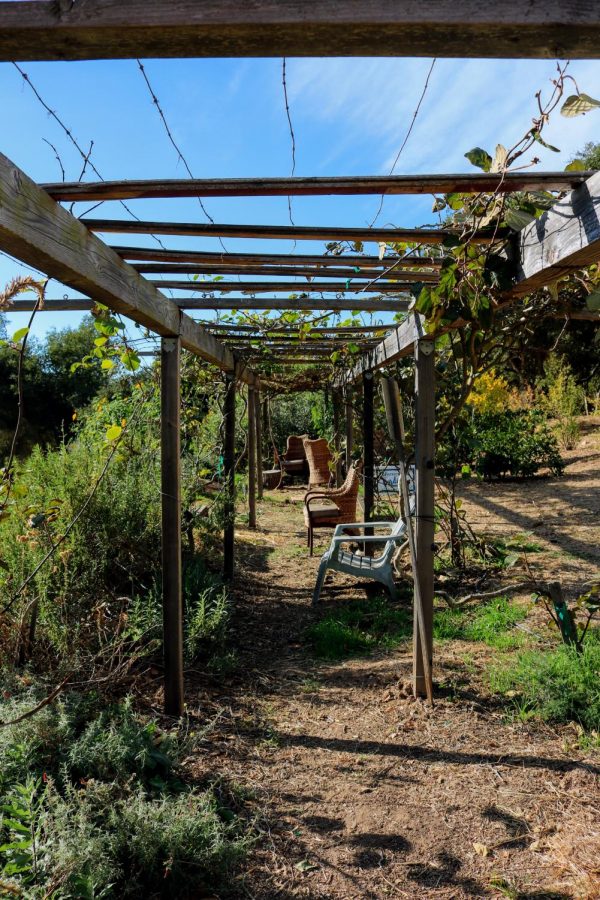 The Westmont Gardens, located below the tennis courts and the track on Westmont's campus.