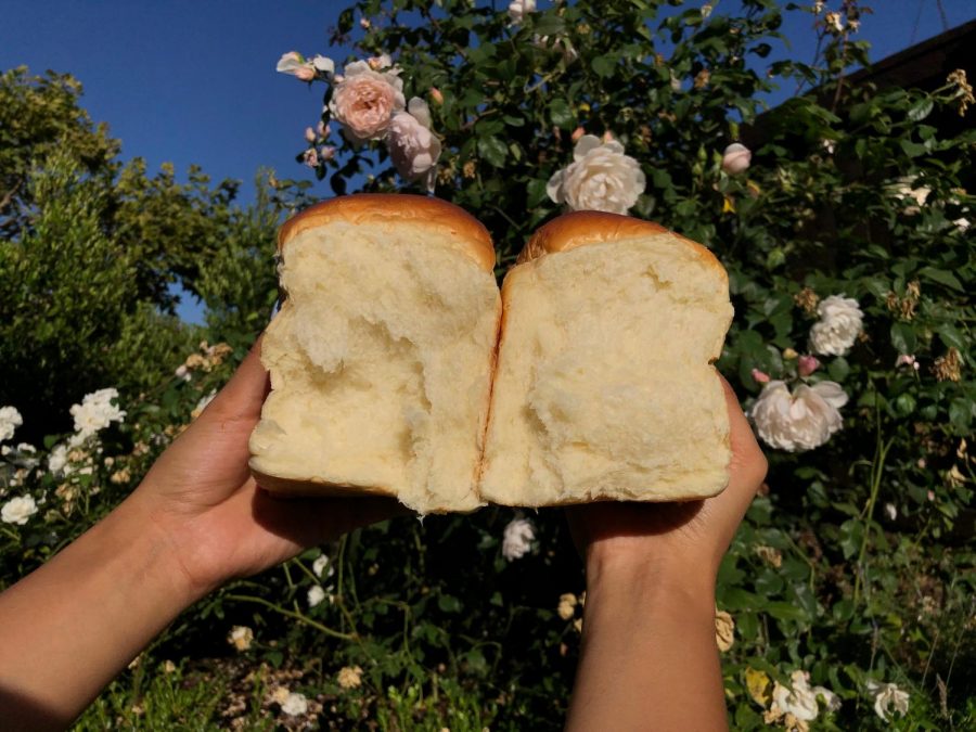 Milk bread