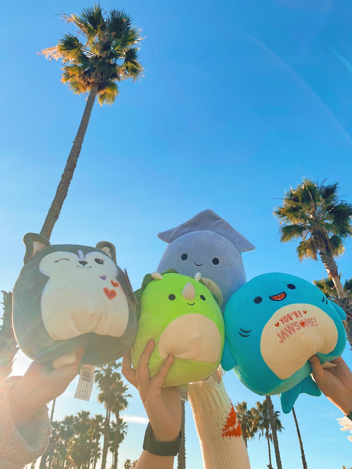 Squishmallow love reaches Westmont – The Horizon