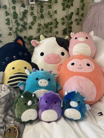 squishmallow pile