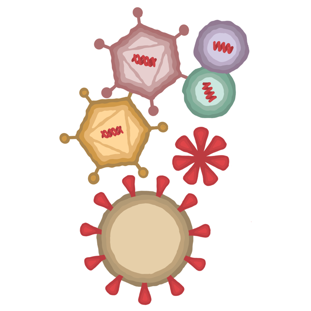 COVID-19+vaccine+wards+off+virus