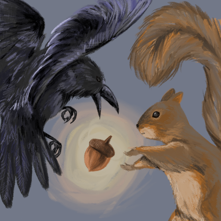 Crows+battle+Squirrels+in+vicious+homecoming+game+