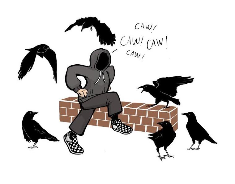 Eager student attempts to befriend local crows