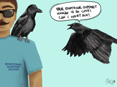 Crow shows off their emotional support human.