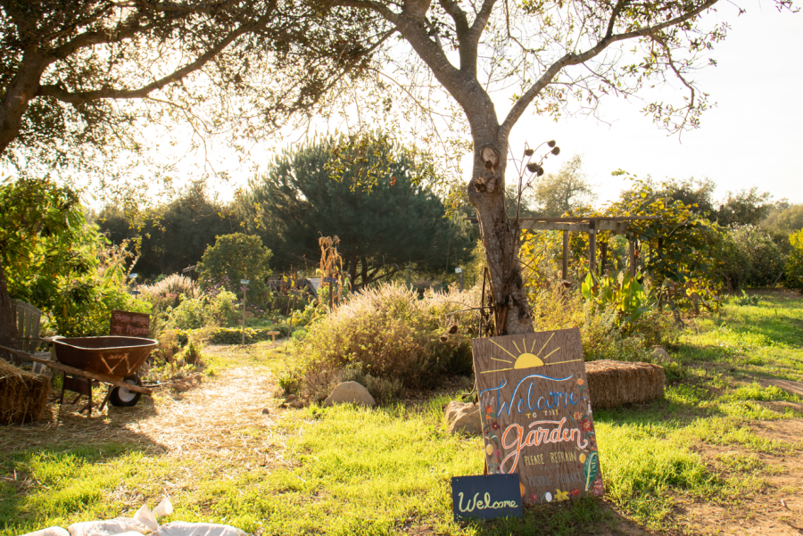 The Westmont Garden