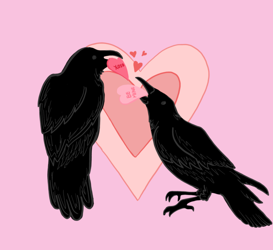 Roses are red,
violets are blue,
be your crow's Valentine,
or they'll never forgive you.
