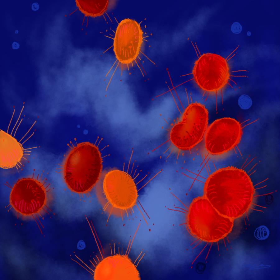 Illustration of the monkeypox virus