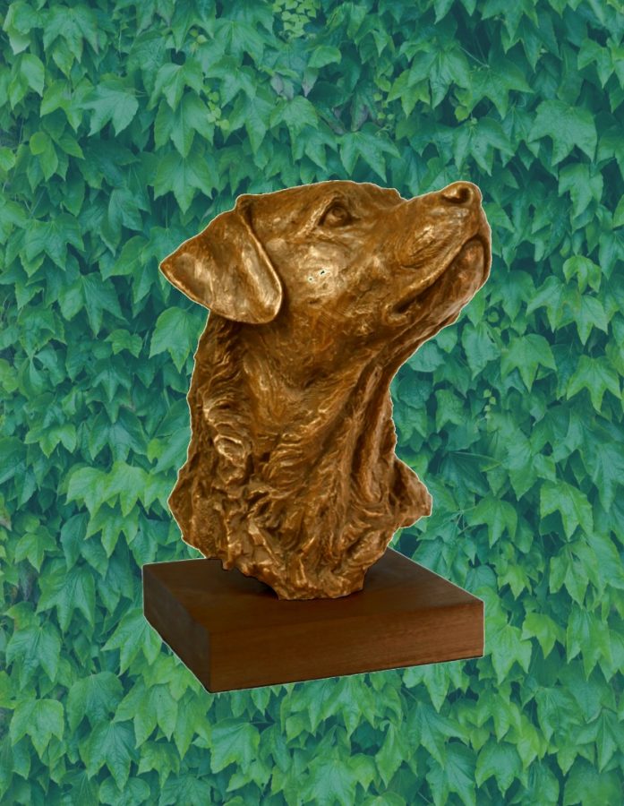 New bronze statue of Henri to be erected; legend is quickly spreading about rubbing his lucky snout.