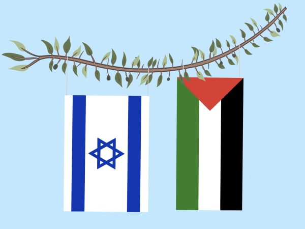 Israeli and Palestinian flags with olive branch