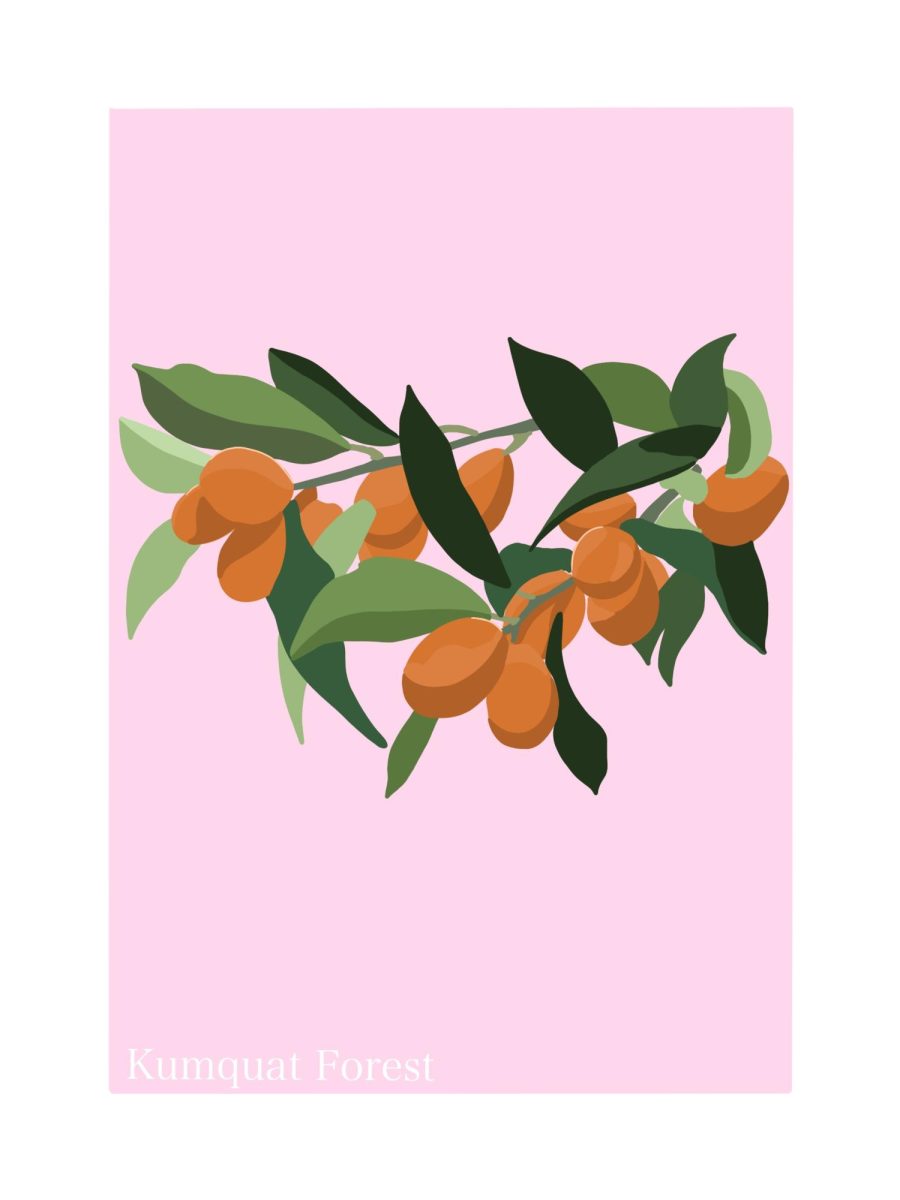 A Candyland card titled Kumquat Forest shows a kumquat tree branch.