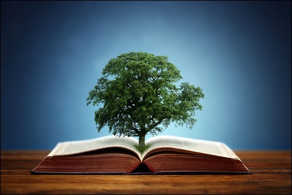 Westmont introduces new environmental studies major