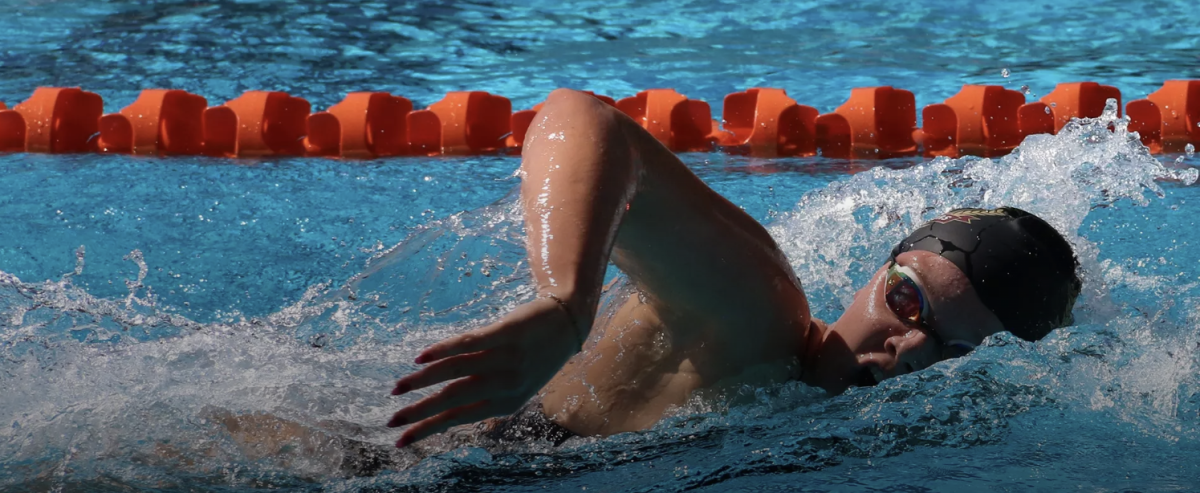 Swim update