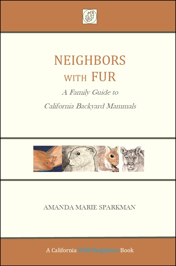 courtesy of Amanda Sparkman
